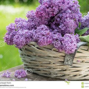 Meet your Posher, Sue